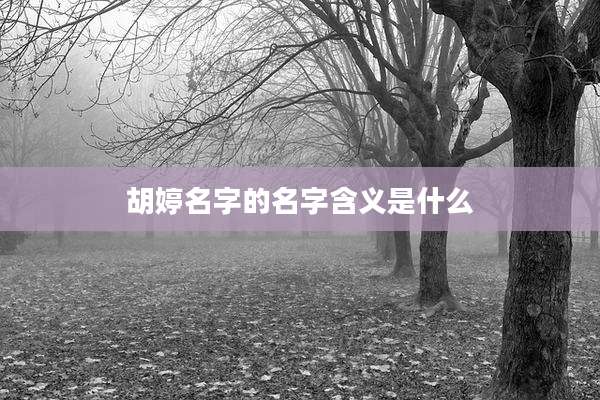 胡婷名字的名字含义是什么
