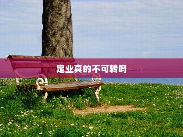 定业真的不可转吗