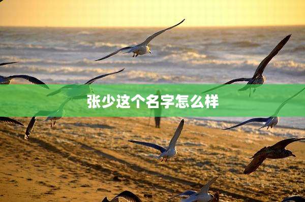 张少这个名字怎么样