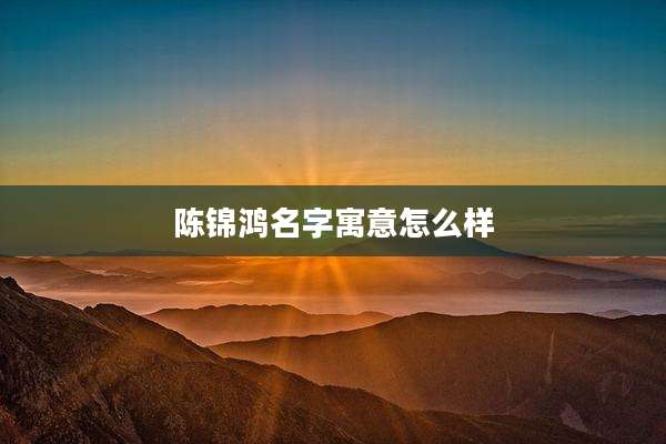 陈锦鸿名字寓意怎么样