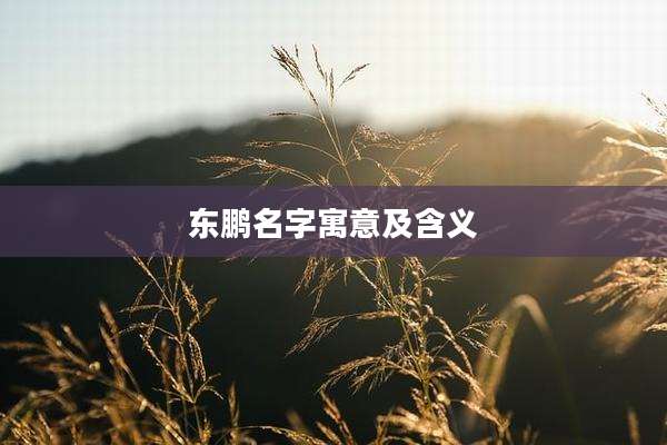 东鹏名字寓意及含义
