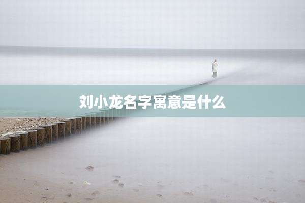 刘小龙名字寓意是什么