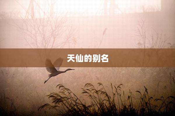 天仙的别名