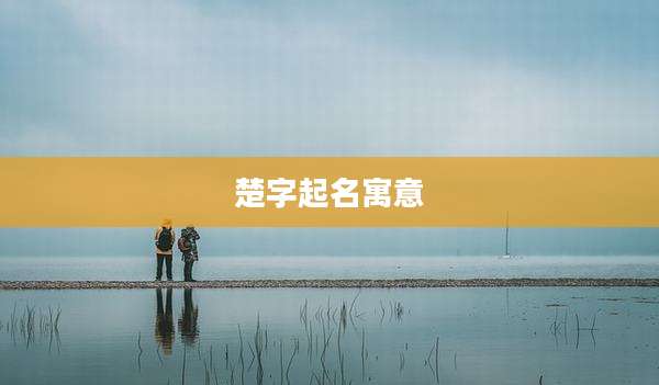 楚字起名寓意