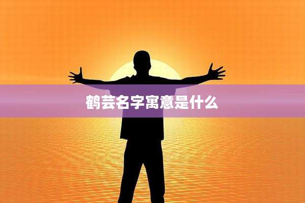 鹤芸名字寓意是什么