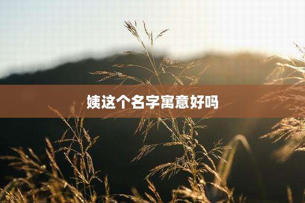 姨这个名字寓意好吗