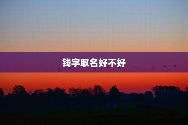 钱字取名好不好