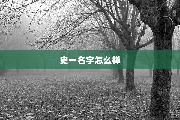 史一名字怎么样