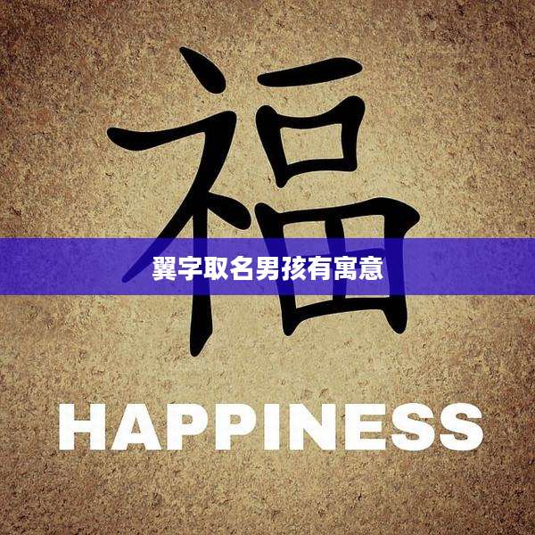 翼字取名男孩有寓意