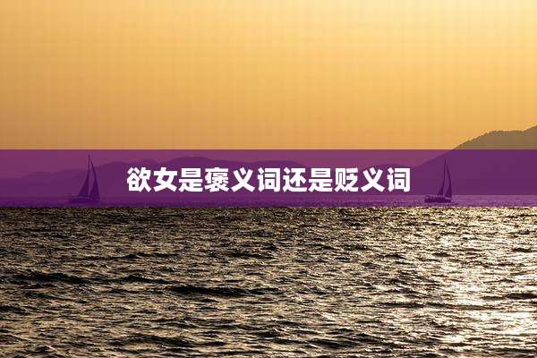 ***是褒义词还是贬义词