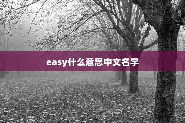 easy什么意思中文名字