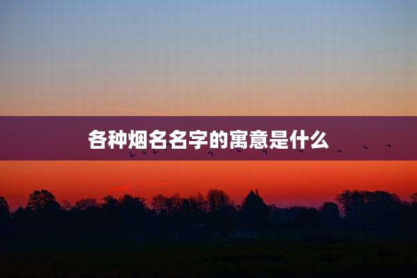 各种烟名名字的寓意是什么