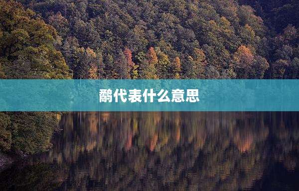 鹬代表什么意思