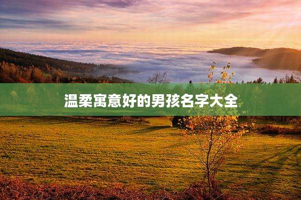 温柔寓意好的男孩名字大全
