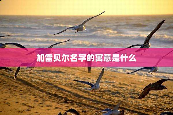 加雷贝尔名字的寓意是什么