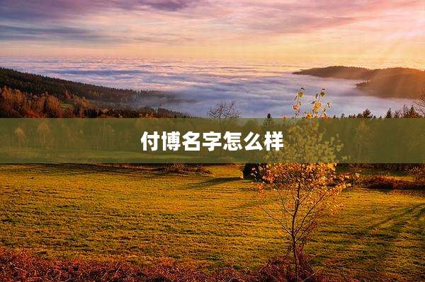 付博名字怎么样