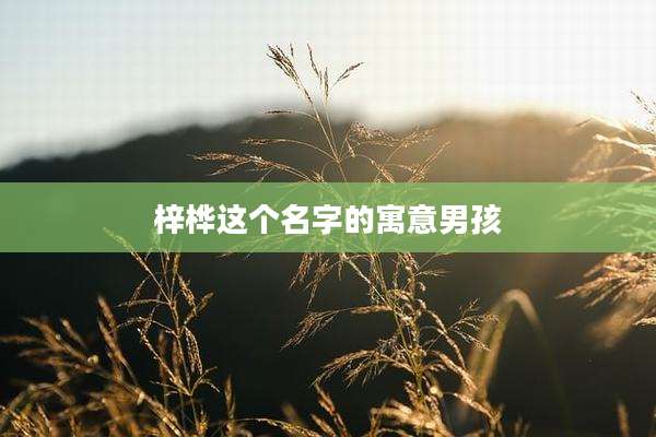 梓桦这个名字的寓意男孩