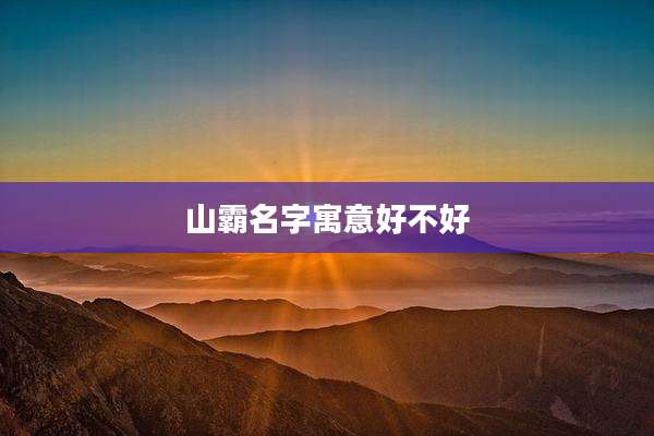 山霸名字寓意好不好