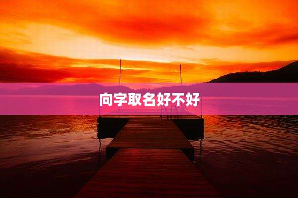 向字取名好不好