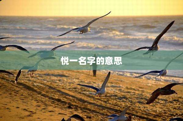 悦一名字的意思