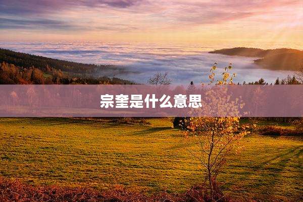 宗奎是什么意思