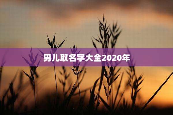 男儿取名字大全2020年