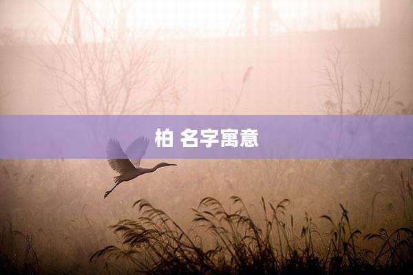 柏 名字寓意