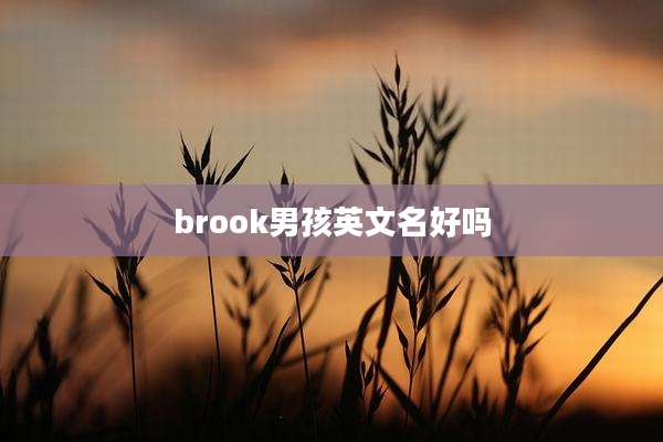 brook男孩英文名好吗