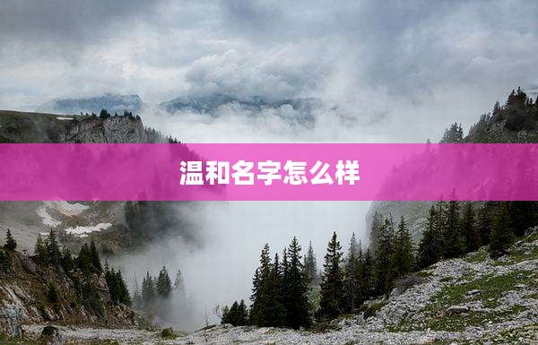 温和名字怎么样