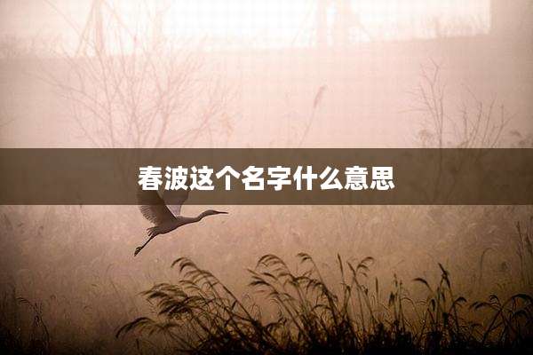 春波这个名字什么意思