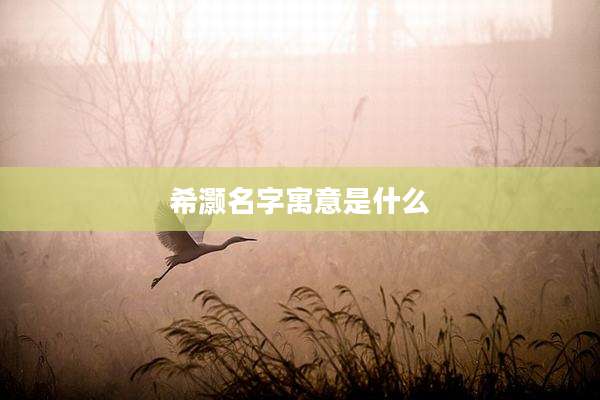 希灏名字寓意是什么