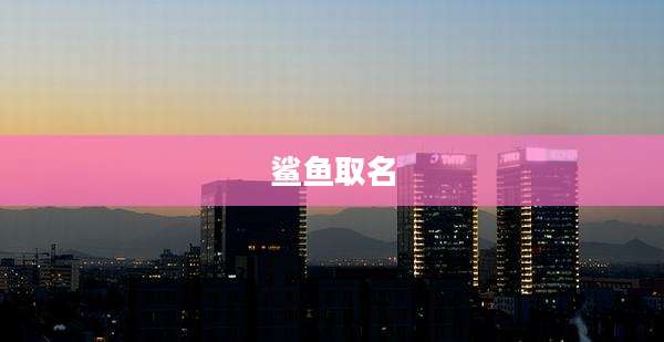 鲨鱼取名