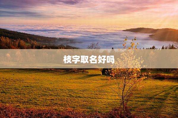 枝字取名好吗