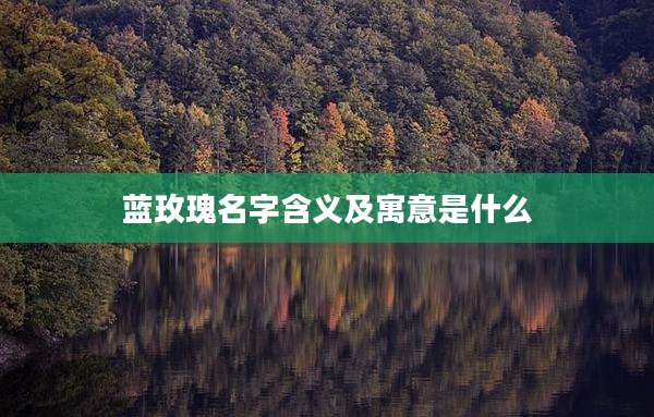 蓝玫瑰名字含义及寓意是什么