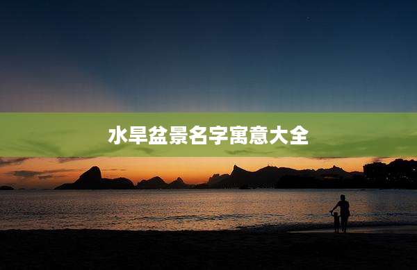 水旱盆景名字寓意大全