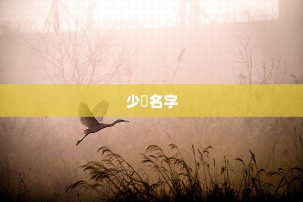 少珺名字
