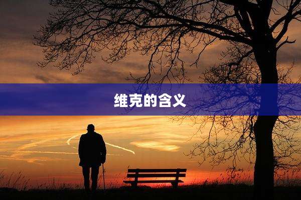 维克的含义