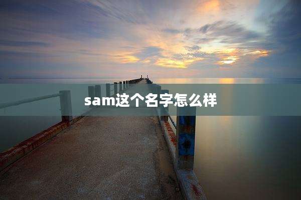 sam这个名字怎么样