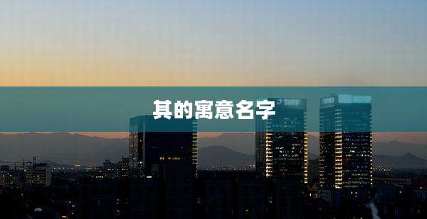 其的寓意名字