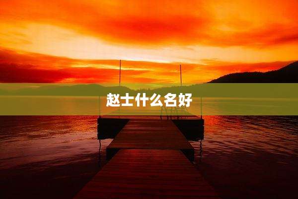 赵士什么名好