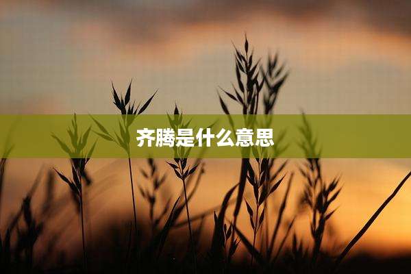 齐腾是什么意思