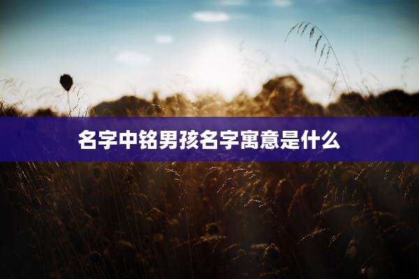 名字中铭男孩名字寓意是什么