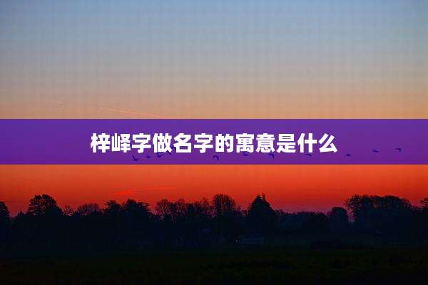 梓峄字做名字的寓意是什么