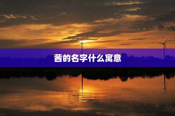 茜的名字什么寓意