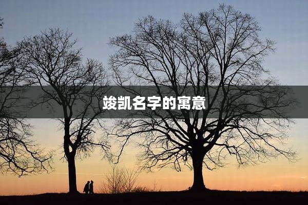 竣凯名字的寓意