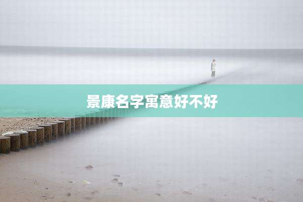 景康名字寓意好不好