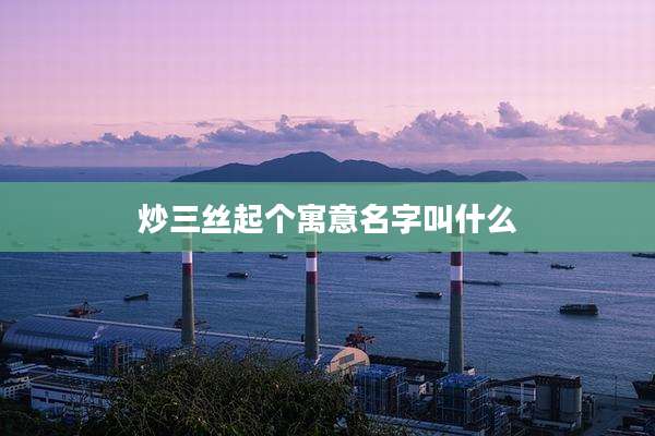 炒三丝起个寓意名字叫什么