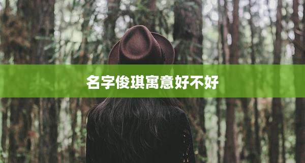 名字俊琪寓意好不好