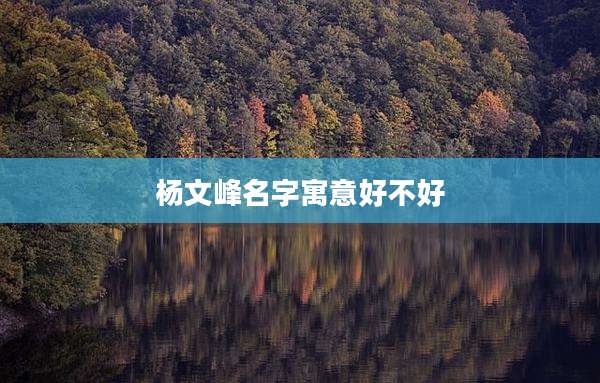 杨文峰名字寓意好不好