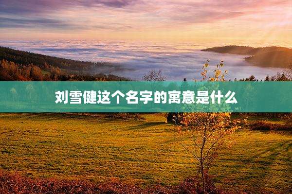 刘雪健这个名字的寓意是什么